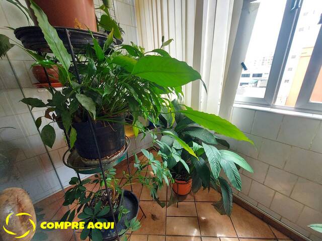 Apartamento para Venda em São Paulo - 3