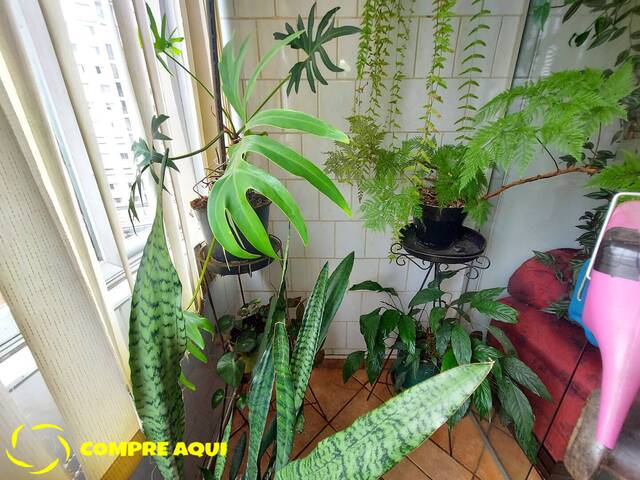 Apartamento para Venda em São Paulo - 4